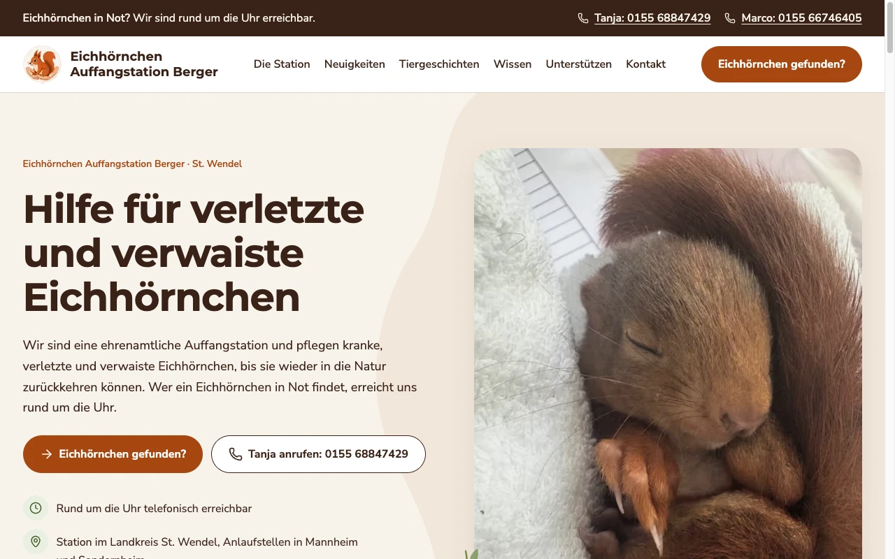 Eichhörnchen Berger: Webdesign, das im Notfall hilft